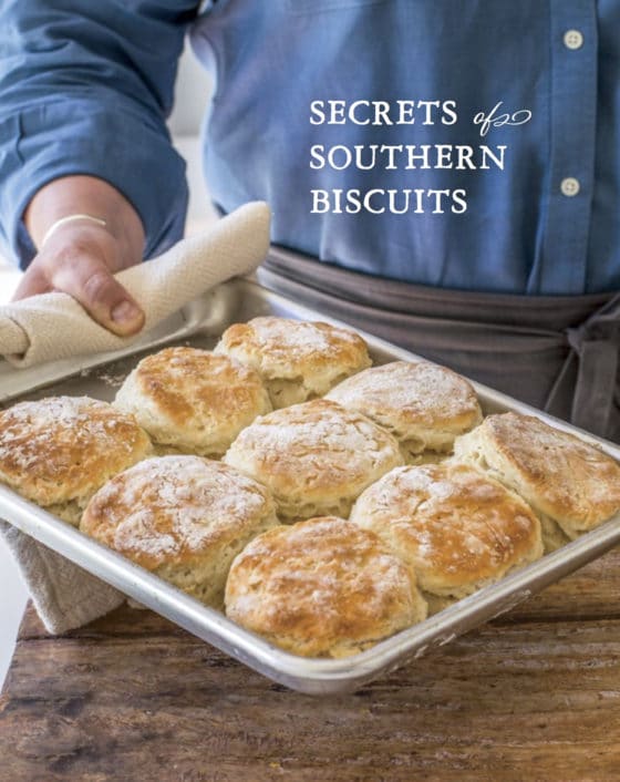 How to Make Biscuits on www.virginiawillis.com