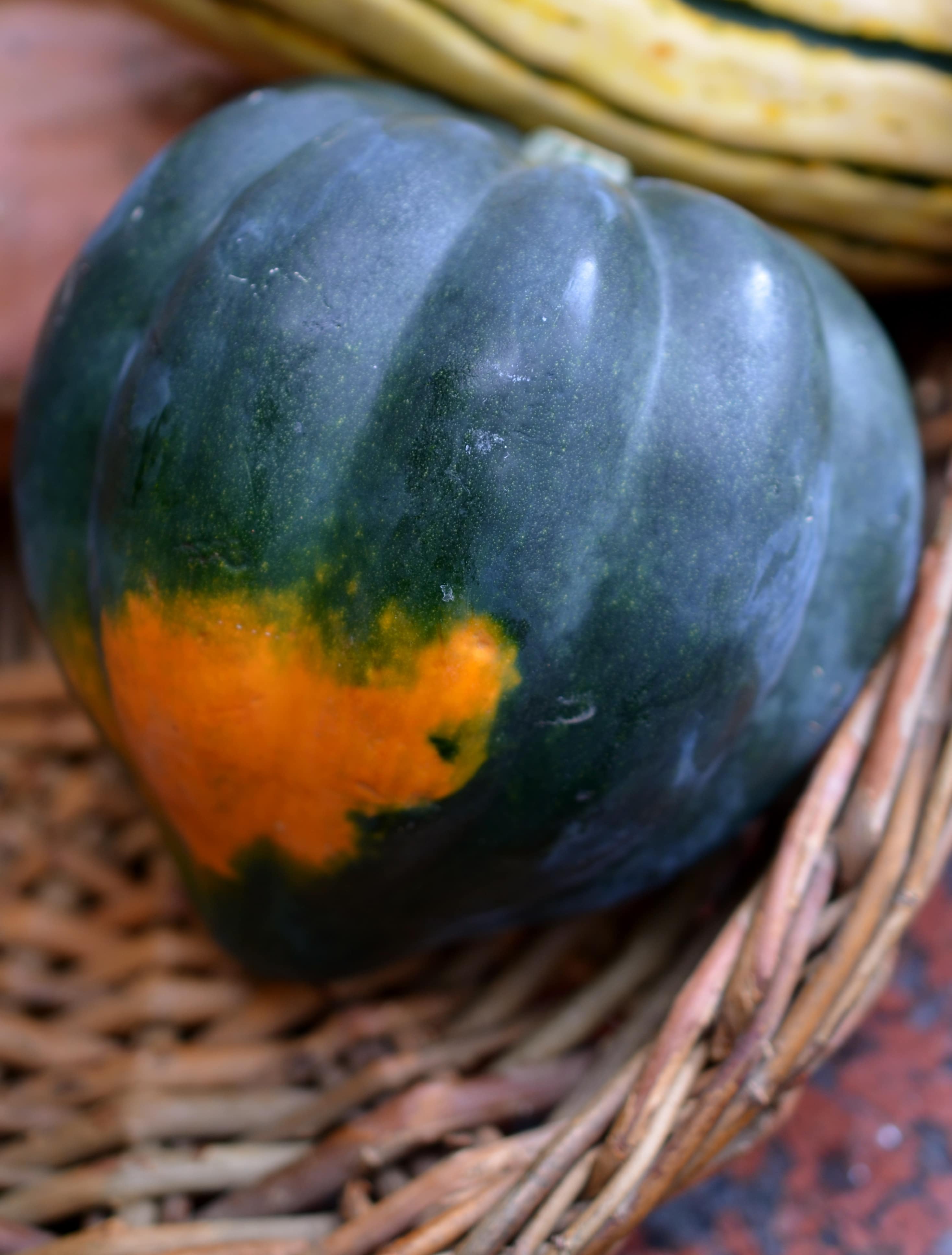 acorn squash on www.virginiawillis.com