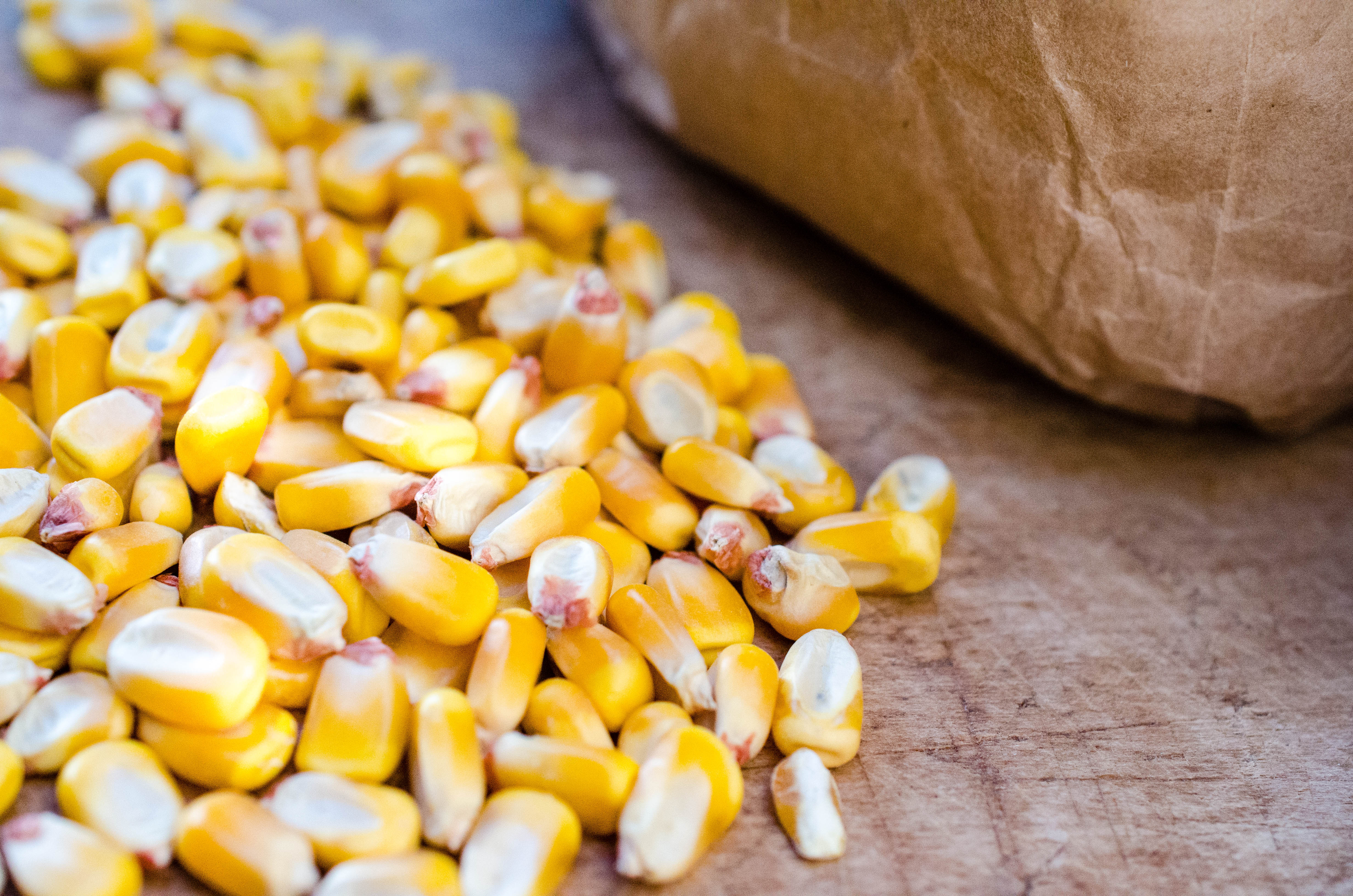 Ground Corn 101 Cornmeal And Grits Virginia Willis