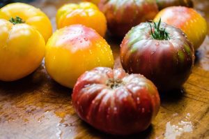 Read more about the article What’s in Season: Summer Tomato Recipes