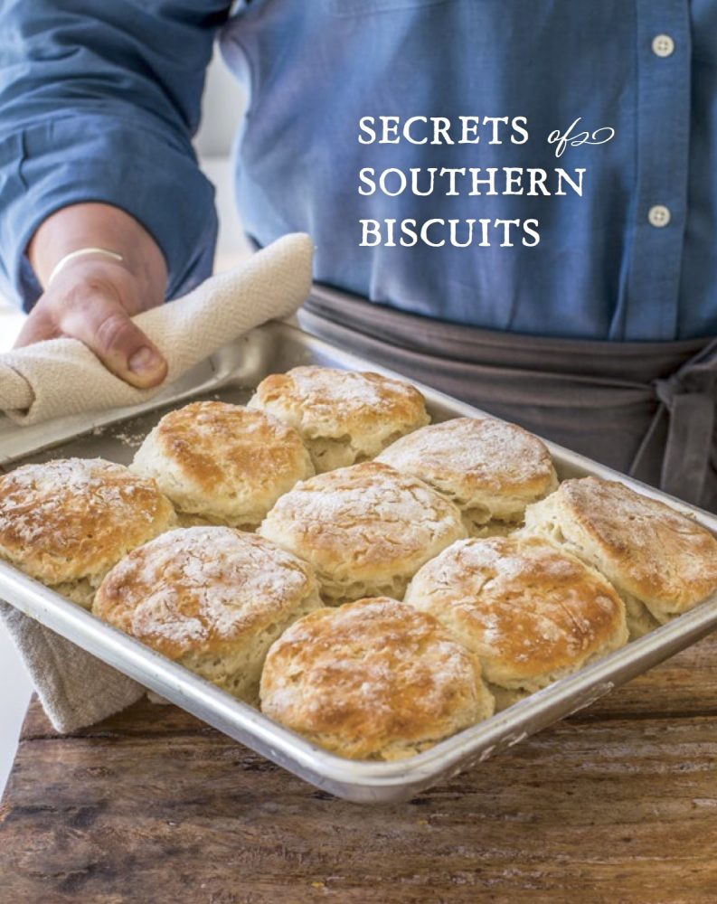 You are currently viewing How to Make Biscuits: Baking Secrets and Five Recipes