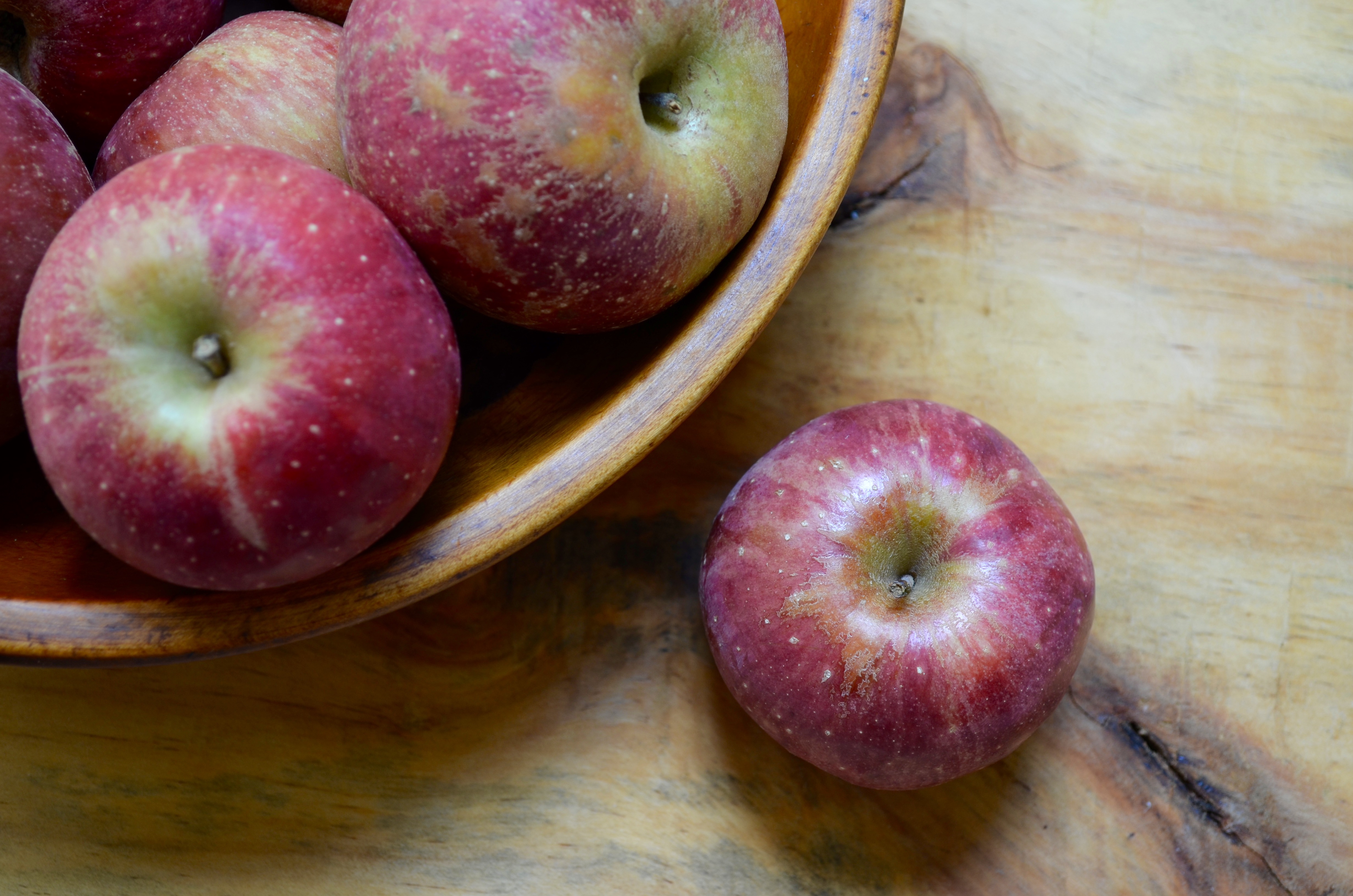 Apple McIntosh and Cheese - New England Apples