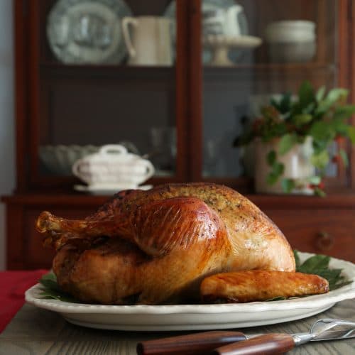 You are currently viewing Turkey 101: Thanksgiving Tips and Techniques