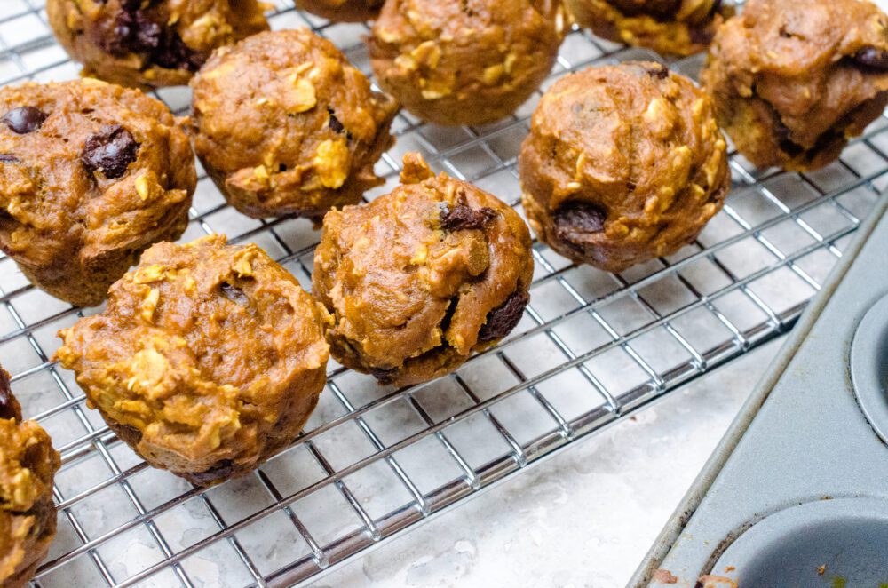You are currently viewing Pumpkin Chocolate Chip Mini Muffins