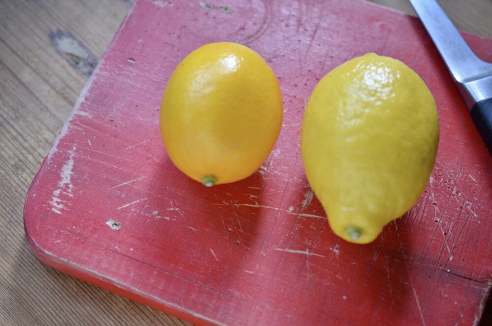 Lemon-Chia Seed Cake