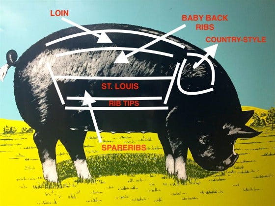 Pig anatomy on virginiawillis.com